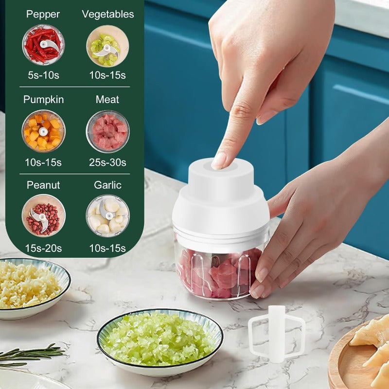 Electric Garlic Chopper 8.45oz with Egg Beater - USB-Powered Cordless Mini Food Processor, Portable Glass Blender for Garlic, Onion, Ginger, Chili & Veggies, One-Touch Operation, Compact Design with Ergonomic Lid & USB Charging, Easy-Clean Durable